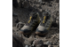 adidas Eastrail 3 Mid Climaproof (KJ8957) braun 4