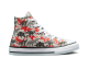 Converse Chuck Taylor All Star High GS Daze Dino (671598F) bunt 4