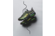 Nike Air Max 95 97 Ducks of a Feather Storm (II1714-900) bunt 1