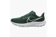 Nike Air Zoom Pegasus 39 Tb Gorge Green (DM0164 300) grün 1