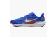 Nike Air Zoom Pegasus 41 Florida Gators (IB3251-400) blau 1