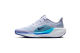 Nike Pegasus 41 (FN5041-004) grau 6
