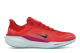 Nike Air Zoom Pegasus 41 GORE TEX (HM8872-600) rot 5