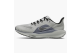 Nike Air Zoom Pegasus 41 (FD2722-005) grau 1