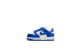 Nike Dunk Low (FB9107-131) bunt 1