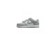 Nike Dunk Low PS (FB9108-123) bunt 1