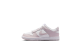 Nike Dunk Low GS (FB9109128) bunt 1