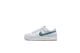 Nike Dunk Low PS (FD1228-002) grau 1