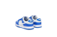 Nike Dunk Low (FN3416-001) bunt 6