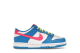 Nike Dunk Low (IB7747-406) bunt 1