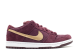 Nike Dunk Low Pro SB Passport UK (304292-600) braun 5
