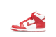 Nike Dunk Retro QS (850477 102) bunt 1