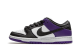 Nike Dunk Low SB Court (Bq6817-500) bunt 5