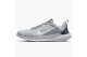 Nike Flex Experience Run 12 Wolf Grey Iron (DV0740-007) grau 1