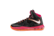 Nike LeBron 10 Floridian X (541100-005) bunt 1