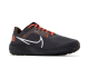 Nike NFL x Air Zoom Pegasus 40 Cleveland Browns (DZ5950 001) schwarz 5