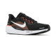 Nike NFL x Air Zoom Pegasus 41 (FZ5072 001) schwarz 2