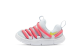 Nike Novice (AQ9662-009) bunt 1