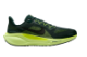 Nike Pegasus 41 (FD2723-302) bunt 5
