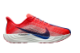 Nike Pegasus Plus (FQ7261-602) rot 1