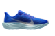 Nike Pegasus Plus (HQ1719-400) blau 6