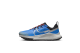 Nike Pegasus Trail 4 (DJ6159-401) blau 1