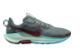 Nike Pegasus Trail 5 (DV3864-302) grau 5