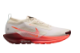 Nike Pegasus Trail 5 Gore TEX (FQ0908-104) beige 5