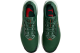 Nike Pegasus Trail 5 Gore Tex (FQ0908-301) grün 4