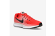 Nike Air Zoom Pegasus 34 (880555-602) rot 5