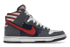 Nike SB Dunk Born In The USA Premium High (313171-100) bunt 3