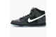 Nike Dunk Hi SB Premier SE High Petoskey (645989 010) bunt 1