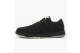 Nike Dunk Low Pro SB Carhartt (304292-004) schwarz 1