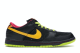 Nike SB Dunk Space Tiger Premium Low (313170-071) bunt 4