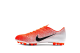 Nike Vapor Ag r (AO9271-801) bunt 1