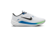 Nike Winflo 10 (FN7992101) bunt 1