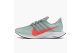 Nike Zoom Pegasus Turbo 35 Grey (AJ4114-060) bunt 2