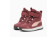 PUMA Evolve Boots (392645_04) rot 2