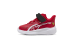 PUMA Scuderia Ferrari Skyrocket (309331_02) rot 2