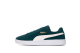 PUMA Smash v2 Varsity Green (364989-67) grün 1