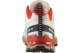 Salomon XA Pro 3D V9 (L47882600) beige 4