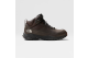 The North Face Coffee Brown-TNF Black (NF0A7W4GU6V) braun 1