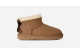 UGG Ultra Mini Bailey Bow (1185920K-CHE) marrone 2