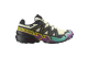 Salomon Speedcross 6 GTX (L47879800) bunt 6