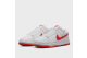 nike dunk low retro dv0831103