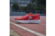 adidas Adizero SL (HQ1346) rot 4