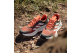 adidas Soulstride Flow (HP5564) orange 6