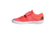 adidas Adizero Shot Put (EG6174) rot 4