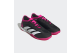 adidas Predator Accuracy.3 Low (GW7067) schwarz 5