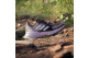 adidas Trail SOULSTRIDE R.RDY W (ID7754) lila 2